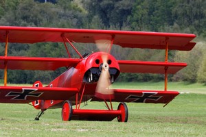 JMA_4057_RIO220903.jpg