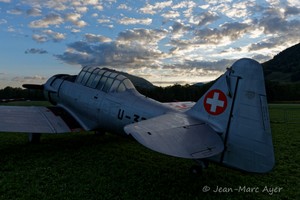 JMA_5249_RIO220904.jpg