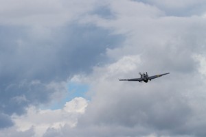 IMG_0525.jpg